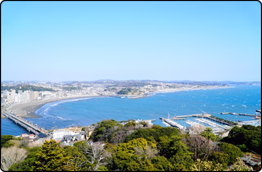 湘南エリアに特化